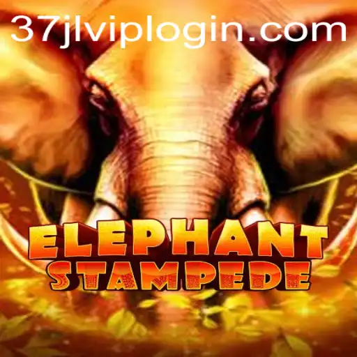 Embark on the Adventure of a Lifetime with ElephantStampede